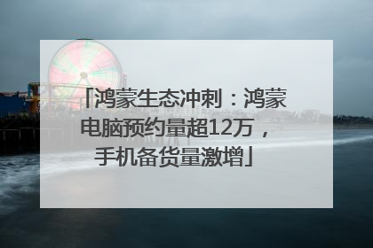 鸿蒙生态冲刺：鸿蒙电脑预约量超12万，手机备货量激增