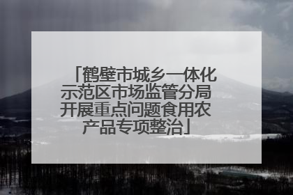 鹤壁市城乡一体化示范区市场监管分局开展重点问题食用农产品专项整治