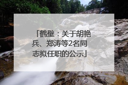 鹤壁：关于胡艳兵、郑涛等2名同志拟任职的公示