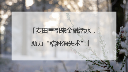 麦田里引来金融活水，助力“秸秆消失术”