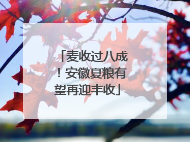 麦收过八成！安徽夏粮有望再迎丰收