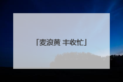 麦浪黄 丰收忙