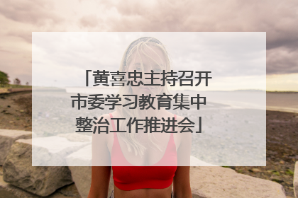 黄喜忠主持召开市委学习教育集中整治工作推进会