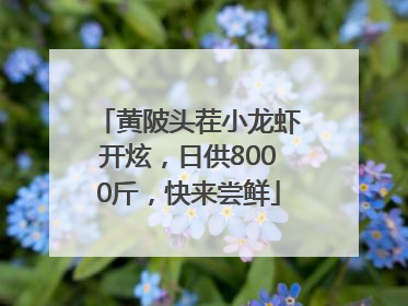 黄陂头茬小龙虾开炫，日供8000斤，快来尝鲜