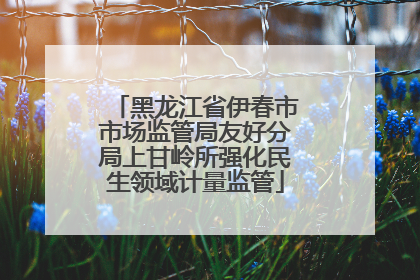 黑龙江省伊春市市场监管局友好分局上甘岭所强化民生领域计量监管