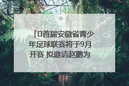 ﻿首届安徽省青少年足球联赛将于9月开赛 拟邀请赵鹏为先导赛开球