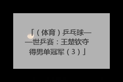 （体育）乒乓球——世乒赛：王楚钦夺得男单冠军（3）