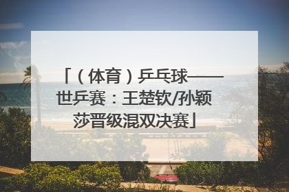 （体育）乒乓球——世乒赛：王楚钦/孙颖莎晋级混双决赛