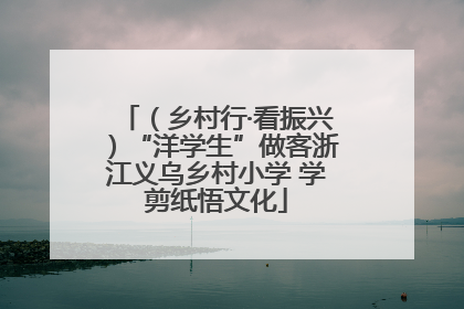 （乡村行·看振兴）“洋学生”做客浙江义乌乡村小学 学剪纸悟文化