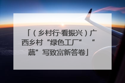 （乡村行·看振兴）广西乡村“绿色工厂” “蔬”写致富新答卷