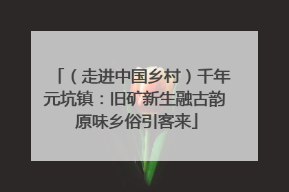 （走进中国乡村）千年元坑镇：旧矿新生融古韵 原味乡俗引客来