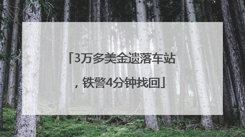3万多美金遗落车站，铁警4分钟找回
