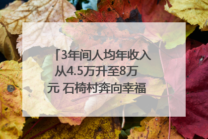 3年间人均年收入从4.5万升至8万元 石椅村奔向幸福好样子｜牵挂的村