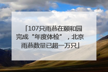 107只雨燕在颐和园完成“年度体检”，北京雨燕数量已超一万只