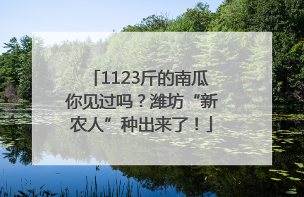 1123斤的南瓜你见过吗？潍坊“新农人”种出来了！