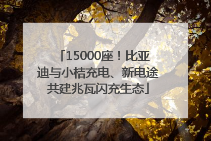 15000座！比亚迪与小桔充电、新电途共建兆瓦闪充生态