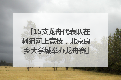 15支龙舟代表队在刺猬河上竞技，北京良乡大学城举办龙舟赛