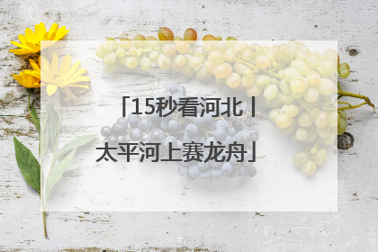 15秒看河北丨太平河上赛龙舟
