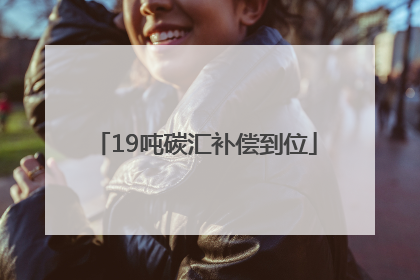 19吨碳汇补偿到位