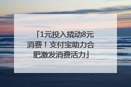 1元投入撬动8元消费！支付宝助力合肥激发消费活力