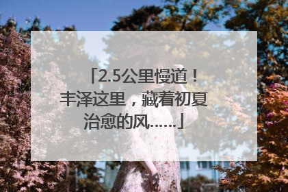 2.5公里慢道！丰泽这里，藏着初夏治愈的风……