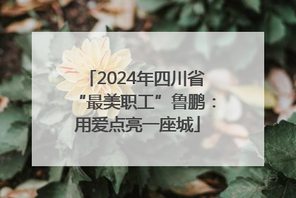 2024年四川省“最美职工”鲁鹏：用爱点亮一座城