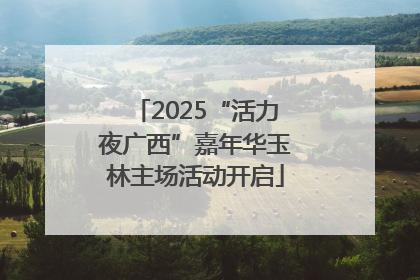2025“活力夜广西”嘉年华玉林主场活动开启