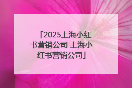 2025上海小红书营销公司 上海小红书营销公司