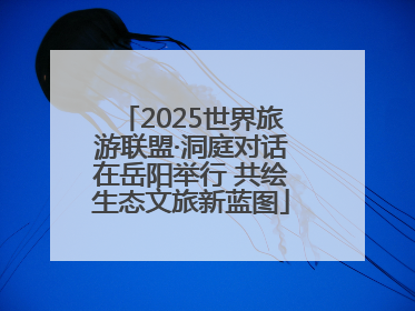 2025世界旅游联盟·洞庭对话在岳阳举行 共绘生态文旅新蓝图