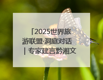 2025世界旅游联盟·洞庭对话｜专家建言黔湘文旅协同发展：聚焦产品稀缺性 深化区域经验共享