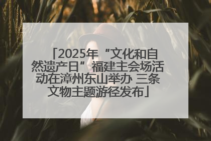 2025年“文化和自然遗产日”福建主会场活动在漳州东山举办 三条文物主题游径发布