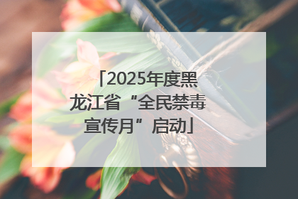 2025年度黑龙江省“全民禁毒宣传月”启动