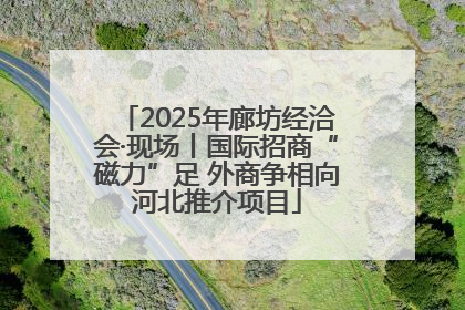 2025年廊坊经洽会·现场丨国际招商“磁力”足 外商争相向河北推介项目