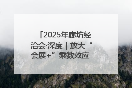 2025年廊坊经洽会·深度｜放大“会展+”乘数效应 打造消费新场景