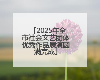 2025年全市社会文艺团体优秀作品展演圆满完成