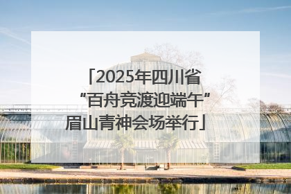 2025年四川省“百舟竞渡迎端午”眉山青神会场举行