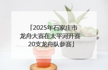 2025年石家庄市龙舟大赛在太平河开赛 20支龙舟队参赛