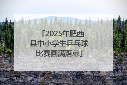 2025年肥西县中小学生乒乓球比赛圆满落幕