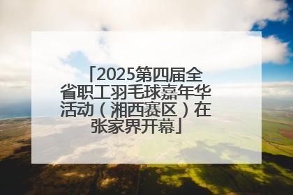 2025第四届全省职工羽毛球嘉年华活动（湘西赛区）在张家界开幕