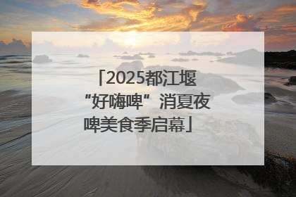 2025都江堰“好嗨啤”消夏夜啤美食季启幕