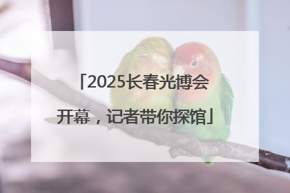 2025长春光博会开幕，记者带你探馆