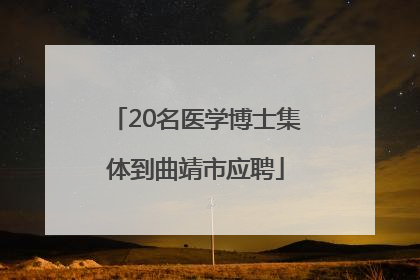 20名医学博士集体到曲靖市应聘