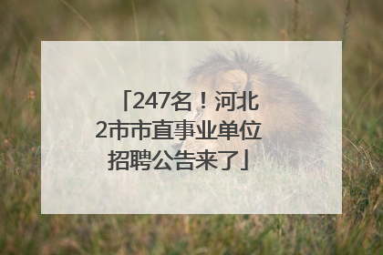 247名！河北2市市直事业单位招聘公告来了