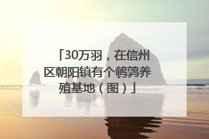 30万羽，在信州区朝阳镇有个鹌鹑养殖基地（图）