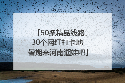 50条精品线路、30个网红打卡地 暑期来河南遛娃吧