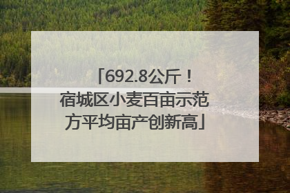 692.8公斤！宿城区小麦百亩示范方平均亩产创新高
