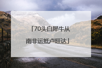 70头白犀牛从南非运抵卢旺达