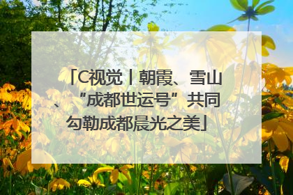 C视觉丨朝霞、雪山、“成都世运号”共同勾勒成都晨光之美
