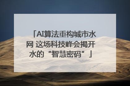AI算法重构城市水网 这场科技峰会揭开水的“智慧密码”