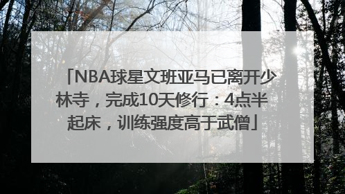 NBA球星文班亚马已离开少林寺，完成10天修行：4点半起床，训练强度高于武僧